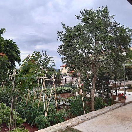 Apartment Thea PUY Exterior foto