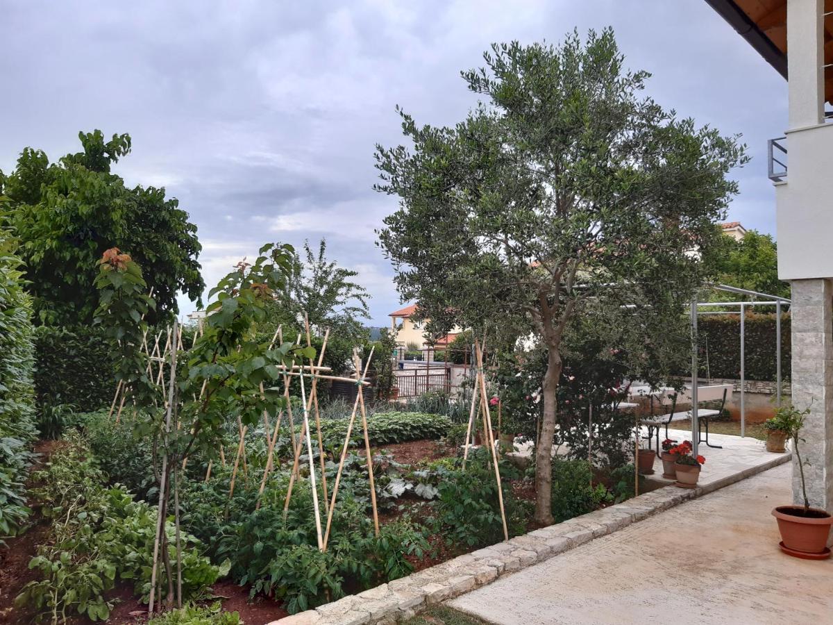 Apartment Thea PUY Exterior foto